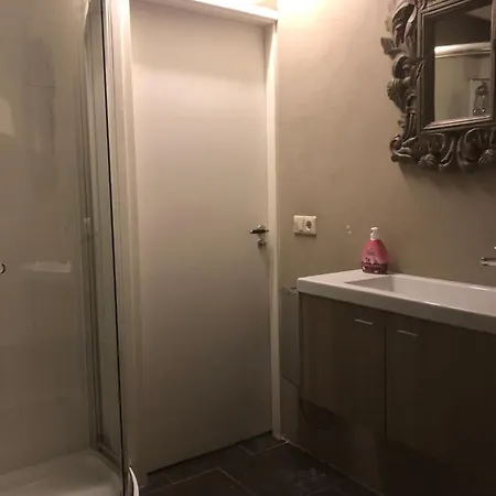 Apartment In De Schuur Ochten